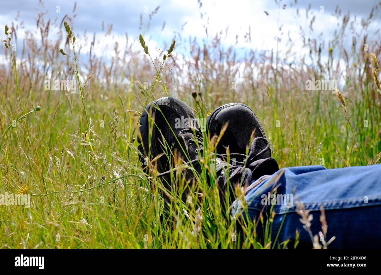 marcheur au repos assis sur de l'herbe longue dans la prairie, norfolk, angleterre Banque D'Images