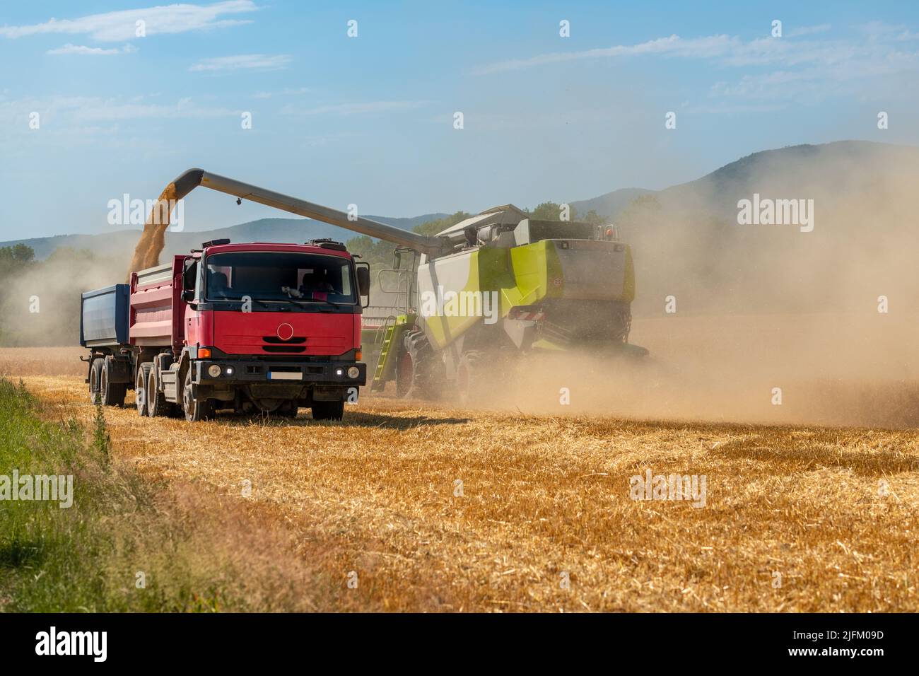 Moissonneuse-batteuse en service pendant la récolte de blé. Pénurie de blé, crise alimentaire mondiale, mise en tas. Banque D'Images