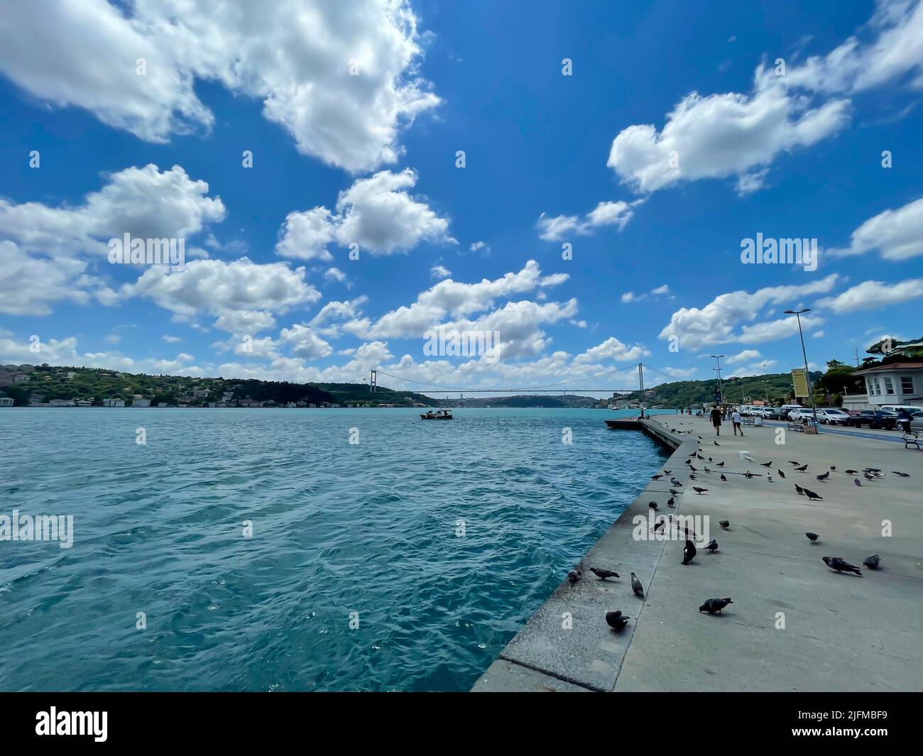Vue sur le Bosphore et les pigeons depuis la côte d'Emirgan. Paysage de ciel panoramique avec le Bosphore de la ville d'Istanbul, Turquie. Banque D'Images