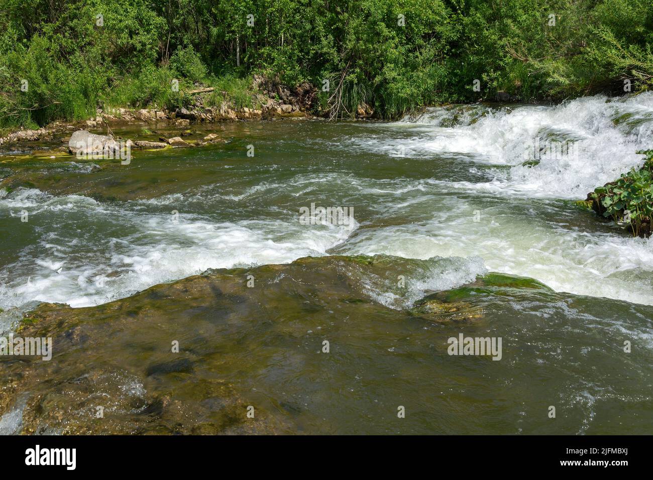 Rapides sur la petite rivière de la taïga Suenga, région de Novosibirsk Banque D'Images