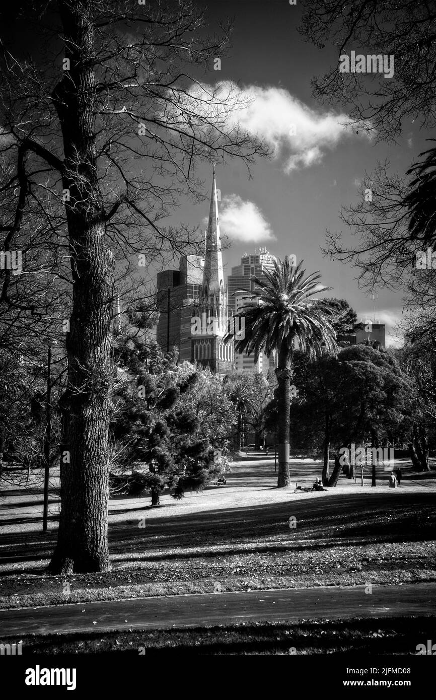 LE QUARTIER DES AFFAIRES DE MELBOURNE ET LA CATHÉDRALE CATHOLIQUE ROMAINE DES JARDINS DE FITROY, VICTORIA, AUSTRALIE Banque D'Images