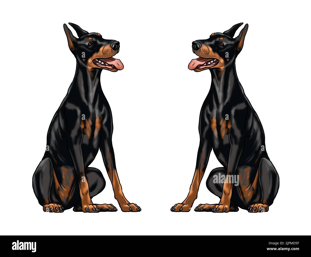 Joli dessin de dobermann pour livre de coloriage. Illustration isolée avec l'élégant chien. Dessin de broche de dobermann noir. Banque D'Images