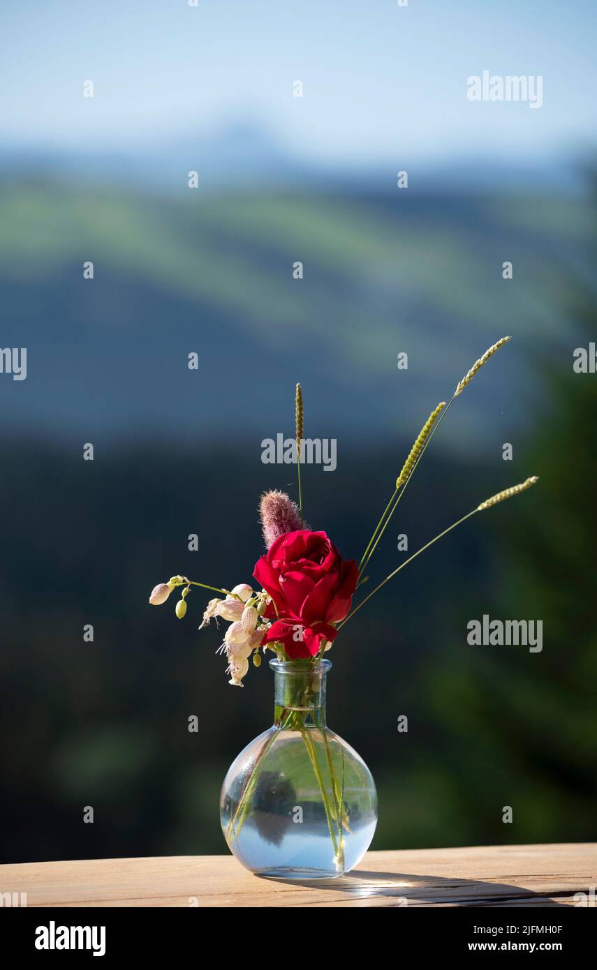 Composition de fleurs avec fleurs de champ et une rose rouge dans un vase en verre. Composition florale d'été sur la table en bois - extérieur Banque D'Images