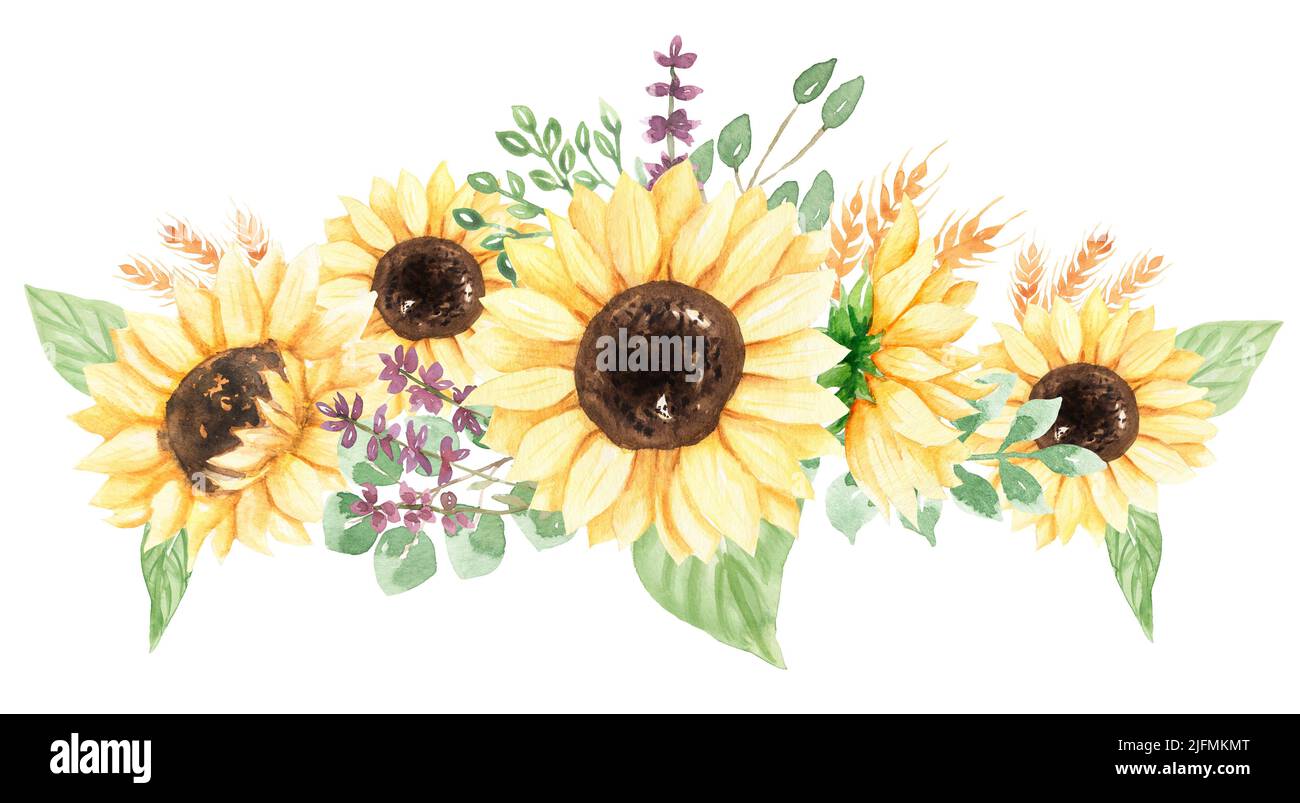 Sunflower Border Clipart, Watercolor Meadow Flowers Frame, illustration rustique de bouquet de fleurs sauvages, invitations de mariage, douche de bébé, logo Banque D'Images