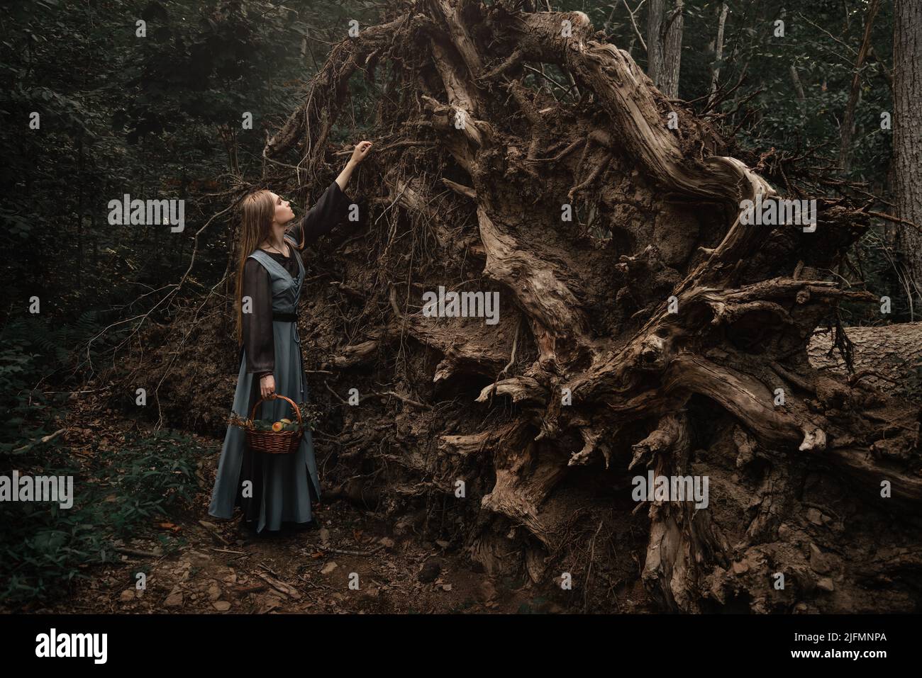 Une mystérieuse sorcière vêtue d'un costume vintage marche dans une forêt sombre Banque D'Images