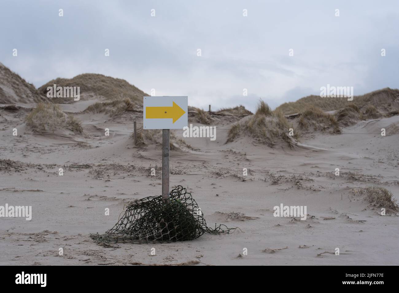 panneau de direction, flèche jaune sur un sol blanc, placé sur une plage avec des dunes de sable à l'arrière Banque D'Images