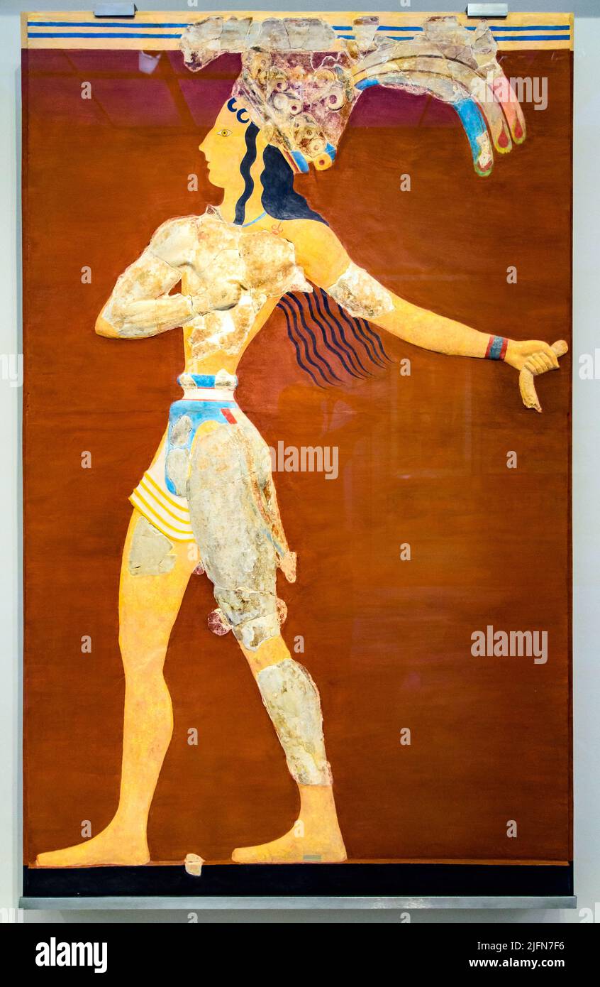 Fleurs Amicales Xl Indigenes 50m main image 0