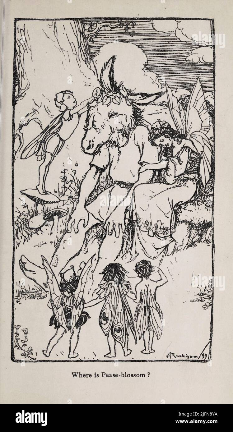 Où est Pease-Blossom ? D'Une nuit de milieu d'été de rêve Engraving avec la représentation du livre ' Tales from Shakespeare ' par Charles et Mary Lamb, illustré par Arthur Rackham, Date de publication 1908 Editeur Londres : J.M. Dent & Co. ; New York : E.P. Dutton & Co Banque D'Images