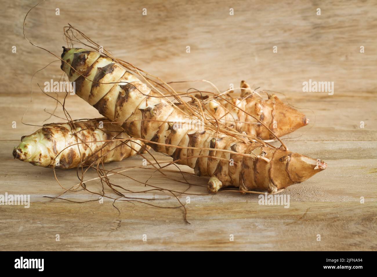 Tubercule d'artichauts de Jérusalem croustillant doux sur fond de bois. Banque D'Images