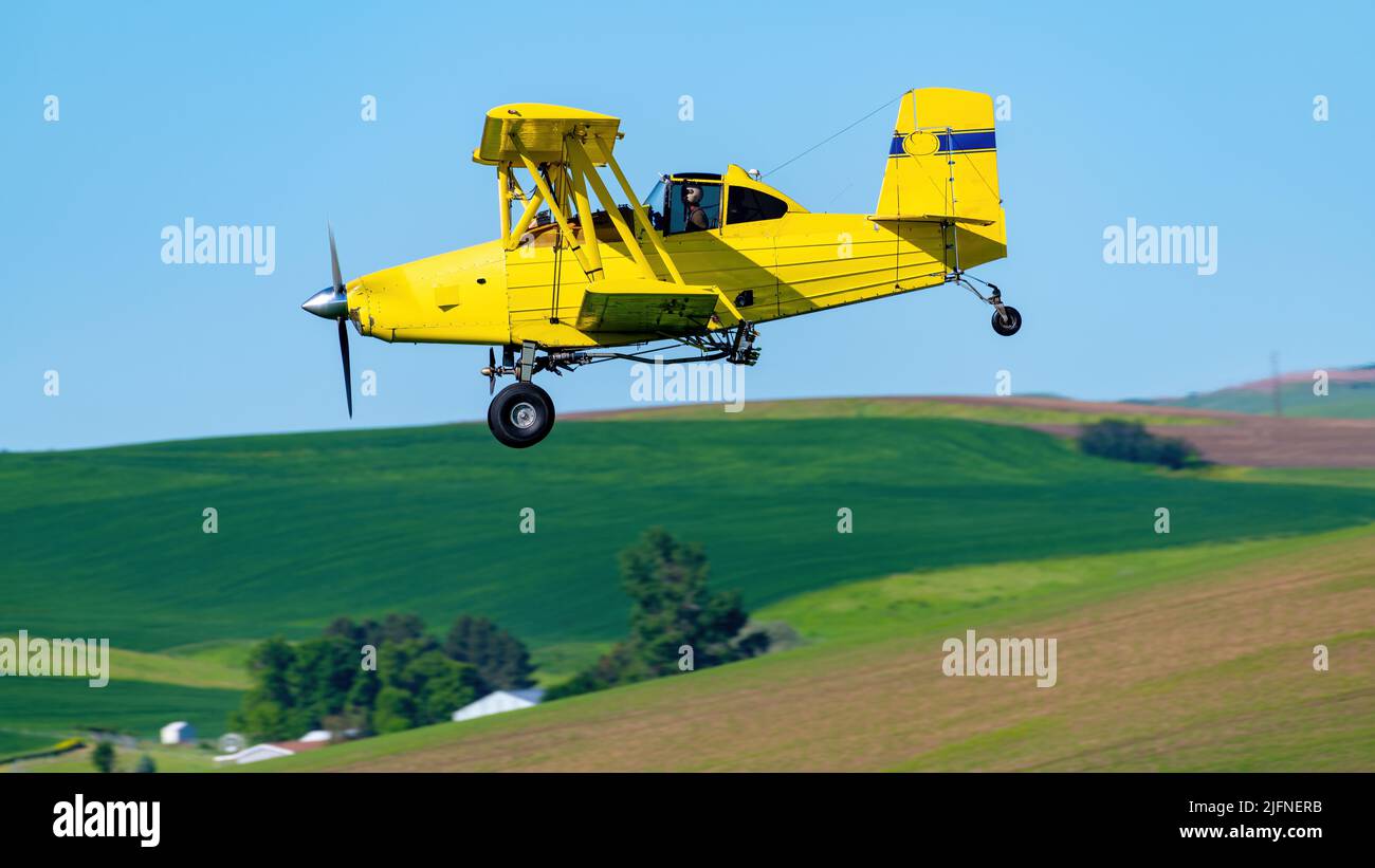 L'avion jaune de l'enplumeau agricole survole les champs verts Banque D'Images