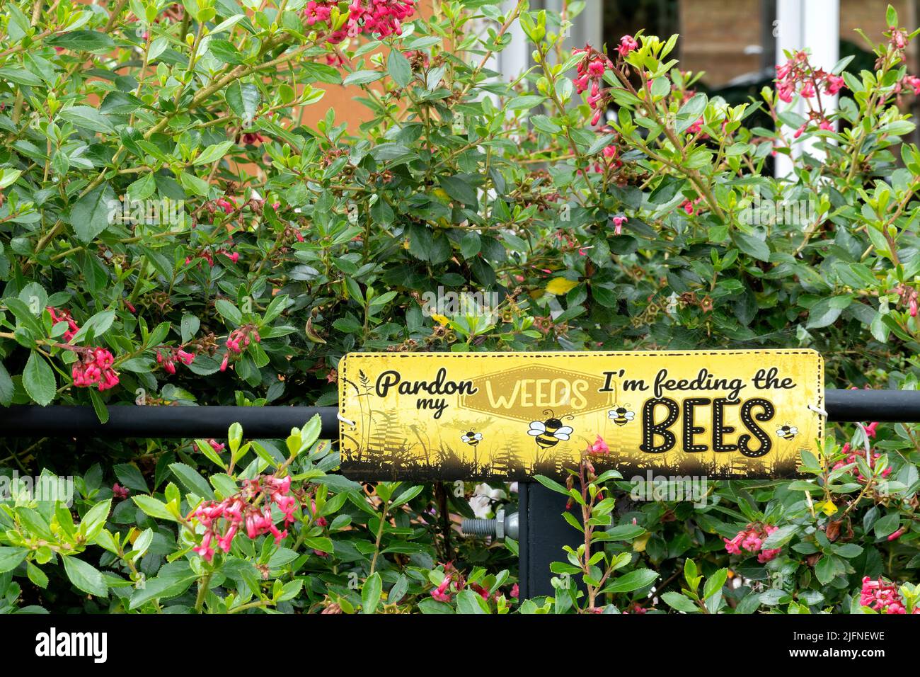 Un signe de jardin domestique en métal, comique, placé par le buisson des propriétaires pour les informer qu'ils cultivent des mauvaises herbes pour le bénéfice des abeilles. Banque D'Images