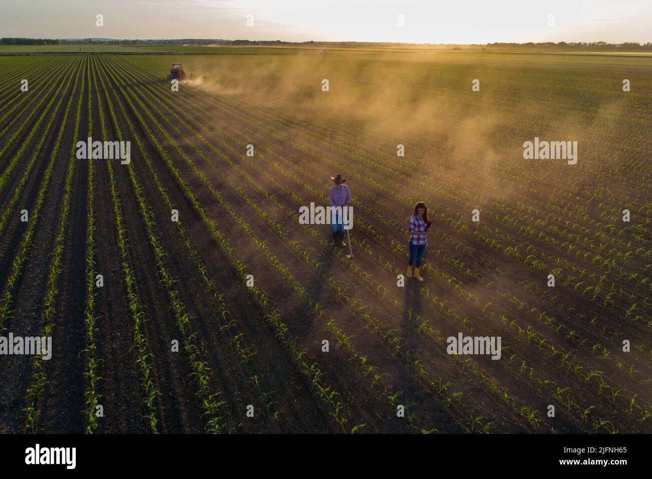 Image aérienne d'un agriculteur senior travaillant avec une houe dans un champ de maïs et d'une femme d'affaires supervisant avec un tracteur en arrière-plan, tiré à partir d'un drone Banque D'Images
