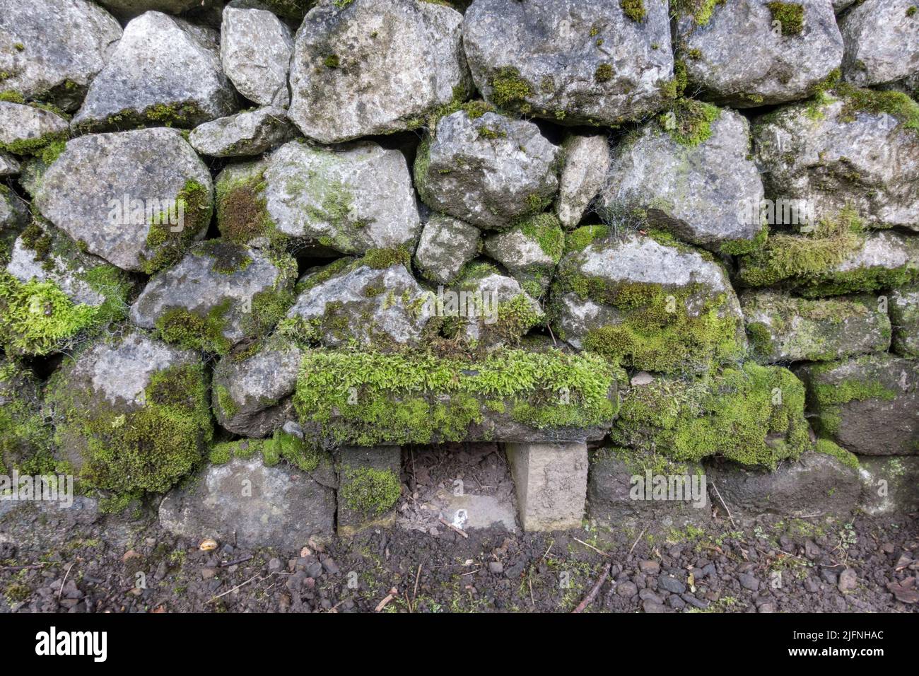 Exemple d'un smoot carré dans un mur calcaire sec, faisant partie d'une exposition de murs en pierre sèche, Shibden Park, Halifax, Yorkshire, Royaume-Uni. Banque D'Images