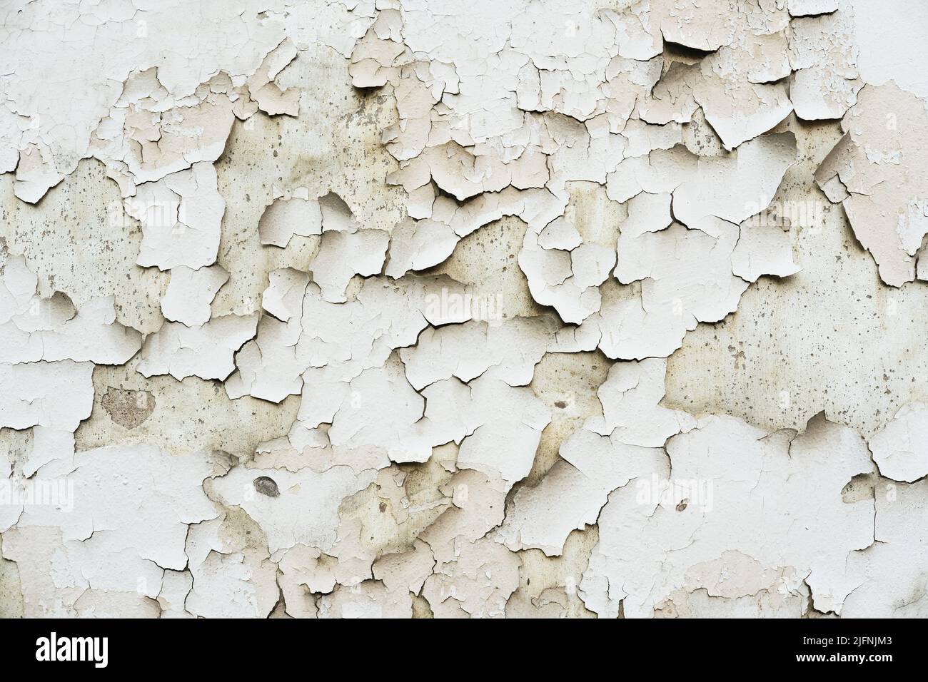 Texture d'un vieux mur avec du plâtre endommagé et de la peinture fissurée. Banque D'Images