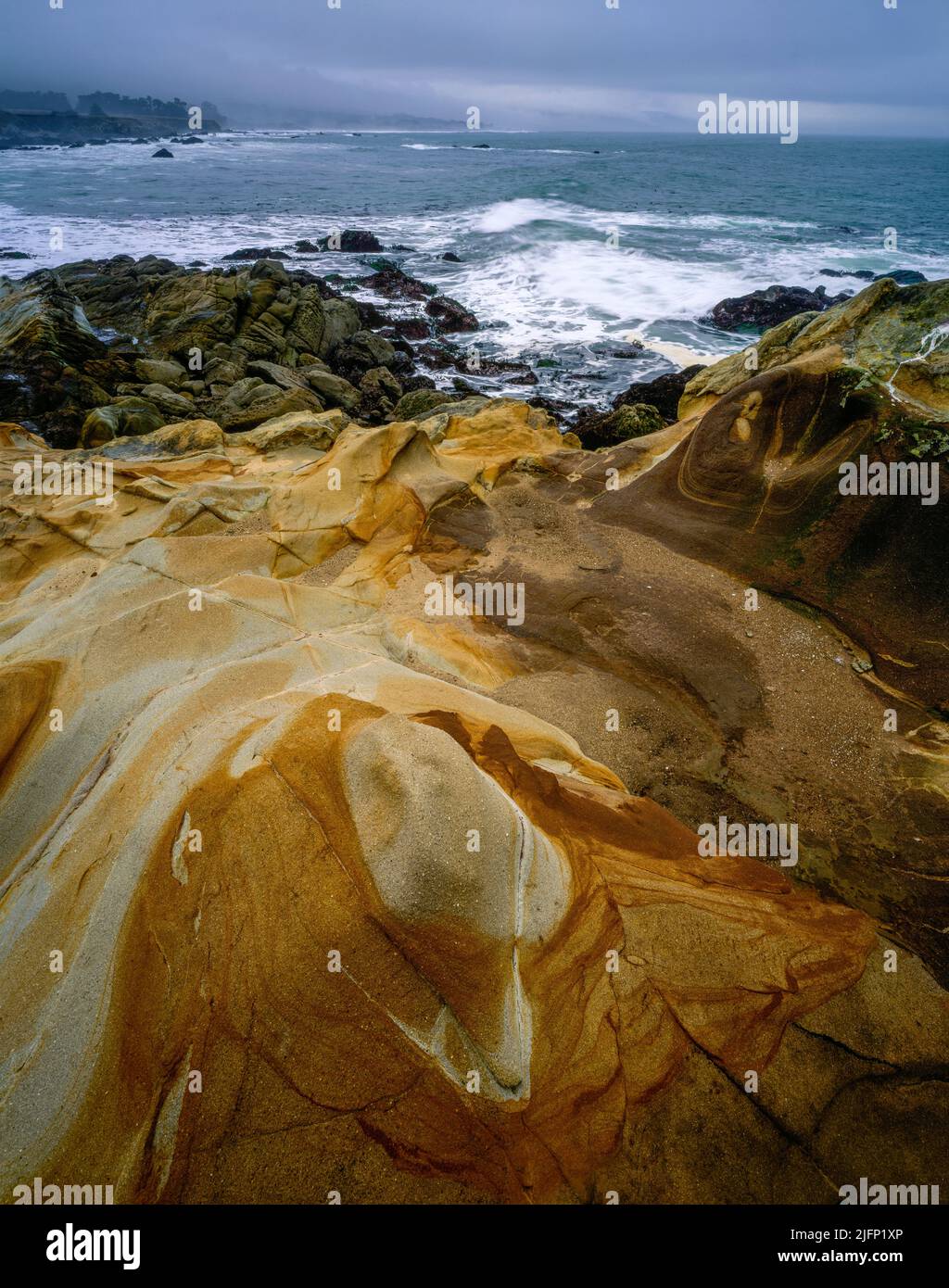 Sandstone, Del Mar Ecological Preserve, Sea Ranch, Sonoma Coast, Sonoma County, Californie Banque D'Images