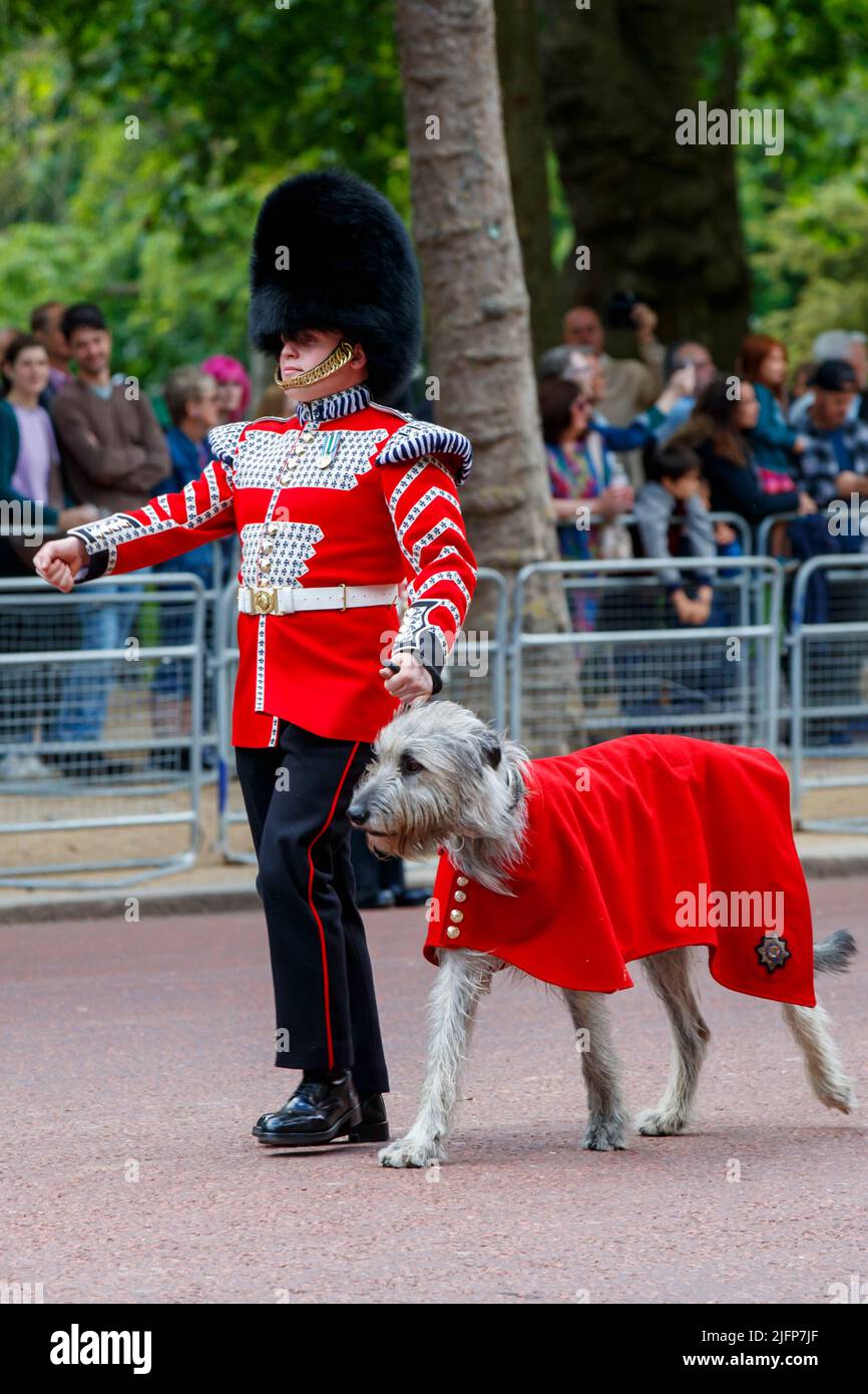 Seamus Irish wolfdrier avec Guardsman Adam Walsh à Trooping the Color, Colonel's Review à The Mall, Londres, Angleterre, Royaume-Uni samedi, Ma Banque D'Images