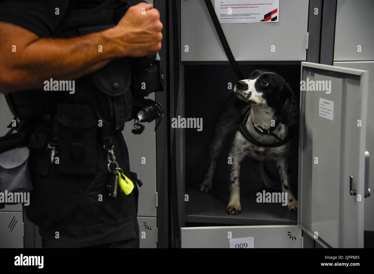 Silverstone, Royaume-Uni. 03rd juillet 2022. SILVERSTONE, Angleterre, 03. JUILLET 2022; chien de recherche de drogue avec garde, contrôle d'un casier, Formule un, GRAND Prix BRITANNIQUE F1 sur le circuit de Silverstone - Formel 1 Grosser Preis von England, 03. JUILLET 2022 - image, photo et Copyright © Anthony STANLEY/ATP images (STANLEY Anthony/ATP/SPP) crédit: SPP Sport Press photo. /Alamy Live News Banque D'Images