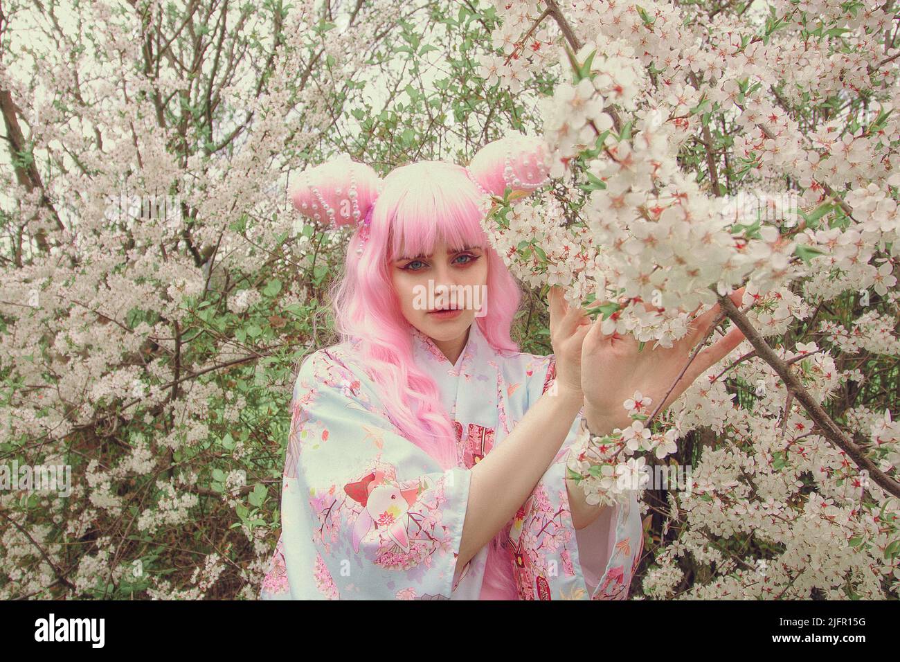 Portrait d'une jeune femme européenne portant un kimono. Beauté asiatique. Cerisiers en fleurs. Hanami. Visite du concept du Japon Banque D'Images