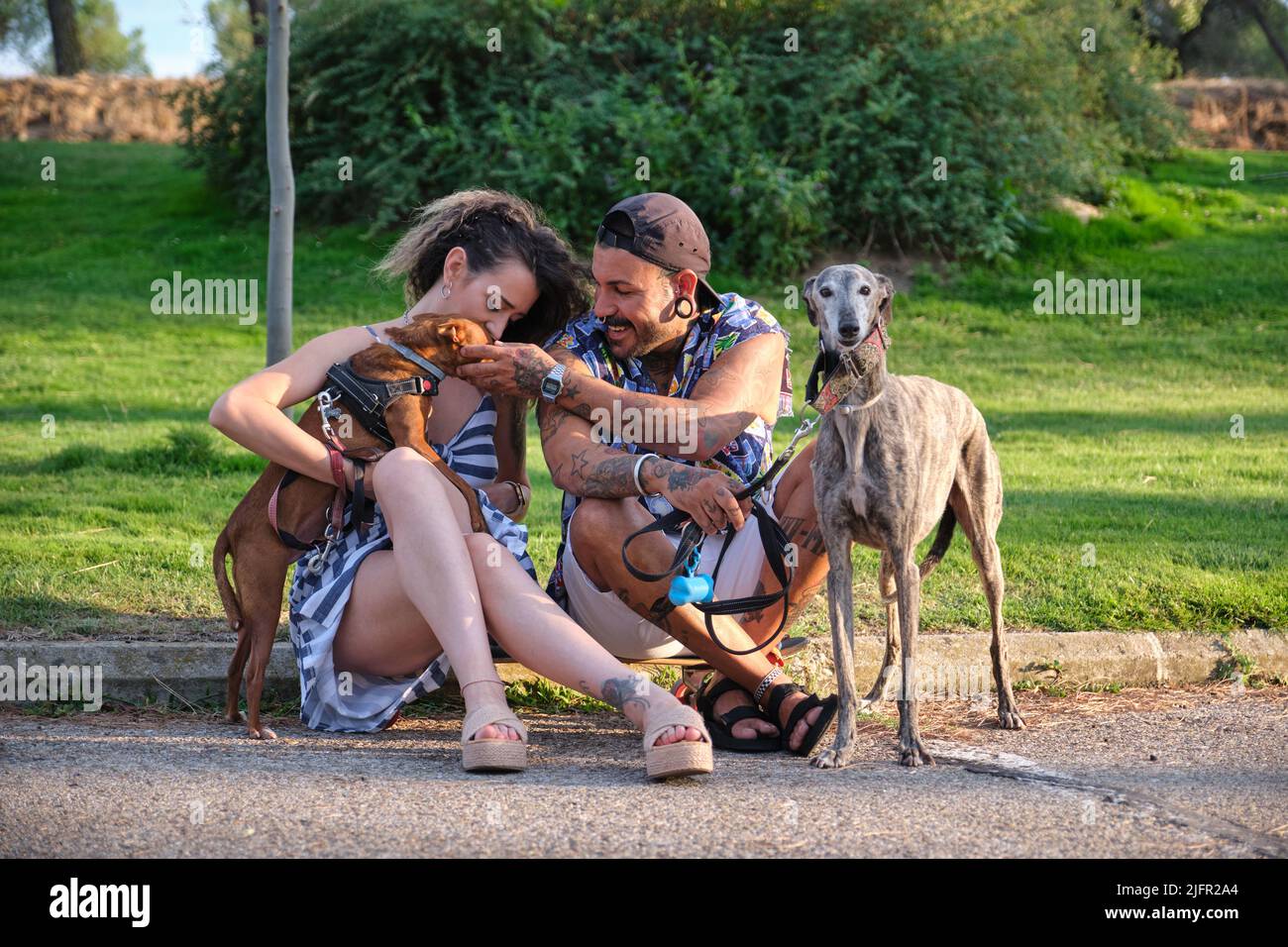 Jeune couple tatoué embrassant et assis avec leurs chiens. Banque D'Images