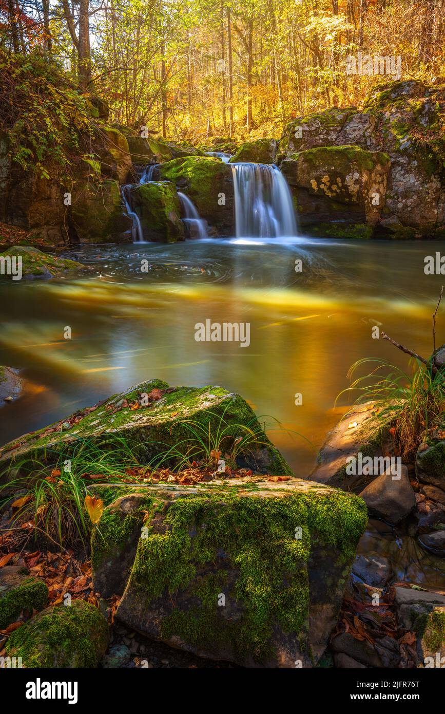 Chute d'eau de montagne en automne. Forêt en octobre Banque D'Images