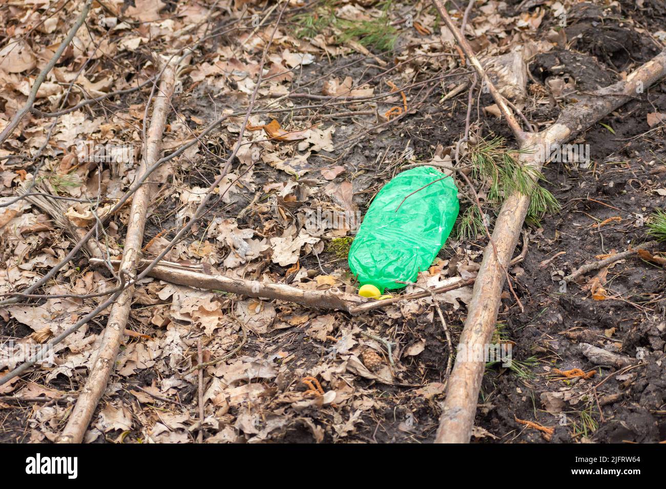 Une bouteille en plastique écrasée laissée dans la forêt Banque D'Images