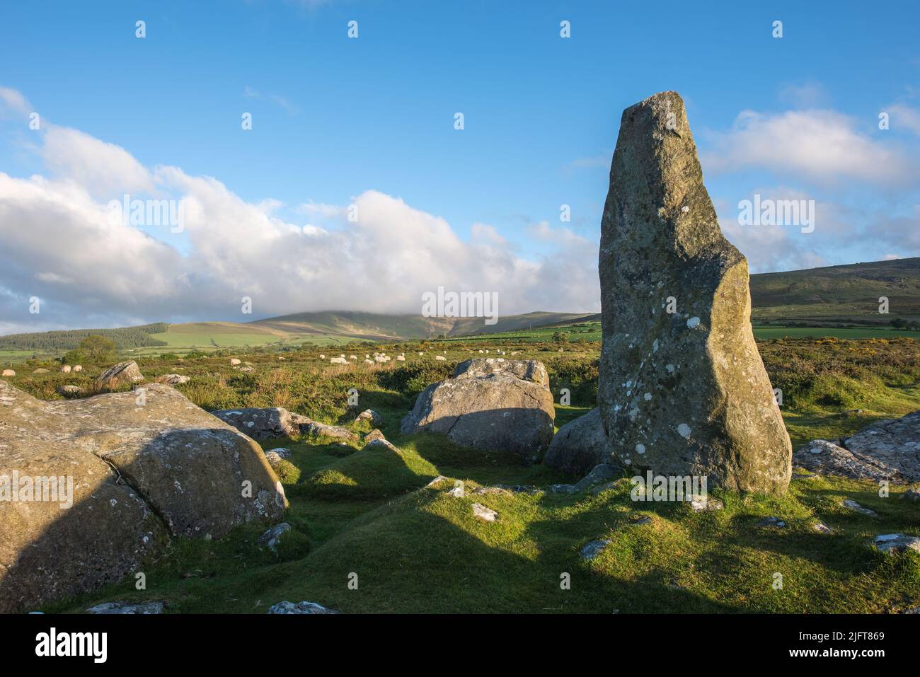 Waldo’s Memorial Stone, Mynachlog-ddu, Preselis, Pembrokeshire; pays de Galles, ROYAUME-UNI Banque D'Images