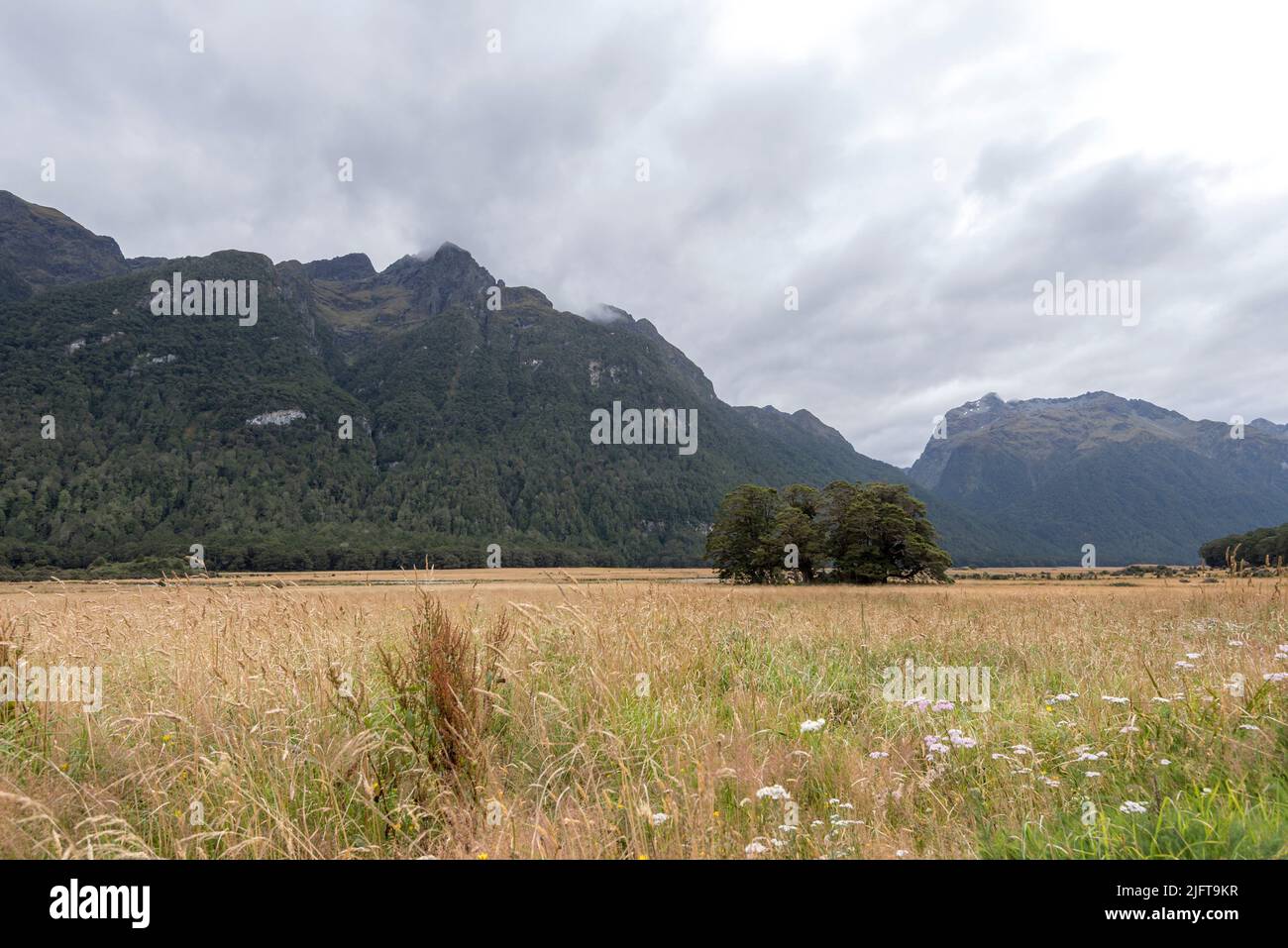 Une belle photo de la vallée d'Eglinton dans l'île du Sud, en Nouvelle-Zélande Banque D'Images