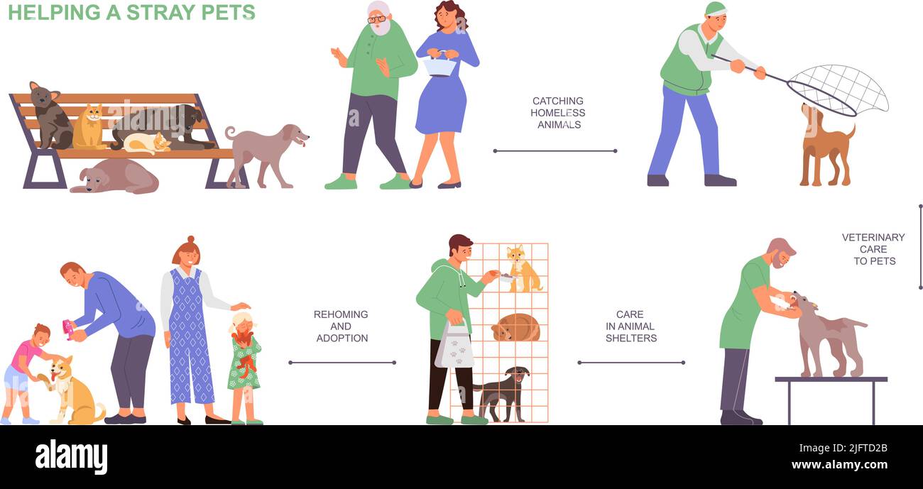 Organigramme de la clinique vétérinaire avec des images plates de capture d'animaux sans abri abritant et d'adoption avec des caractères humains illustration vectorielle Illustration de Vecteur