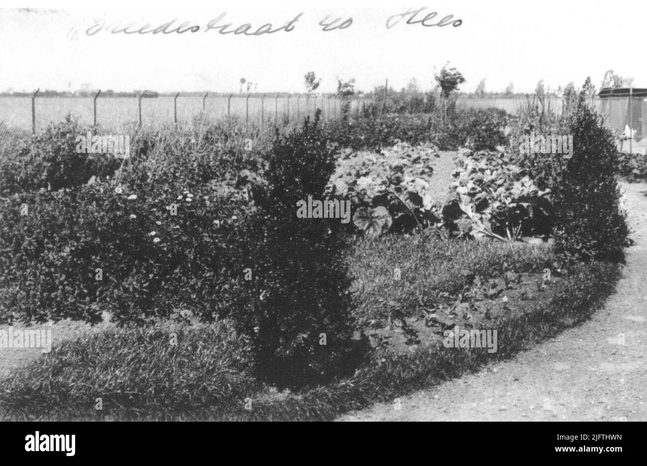 Un jardin potager à Bredestraat 40; 1924 Banque D'Images