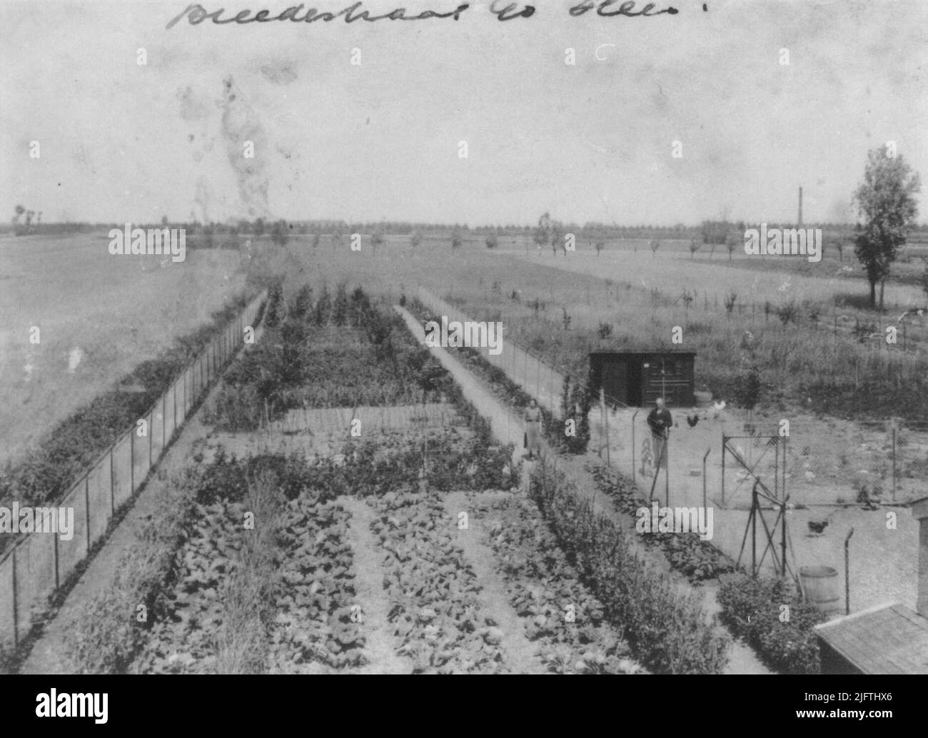 Un potager et un poulet à Bredestraat 40; 1924 Banque D'Images