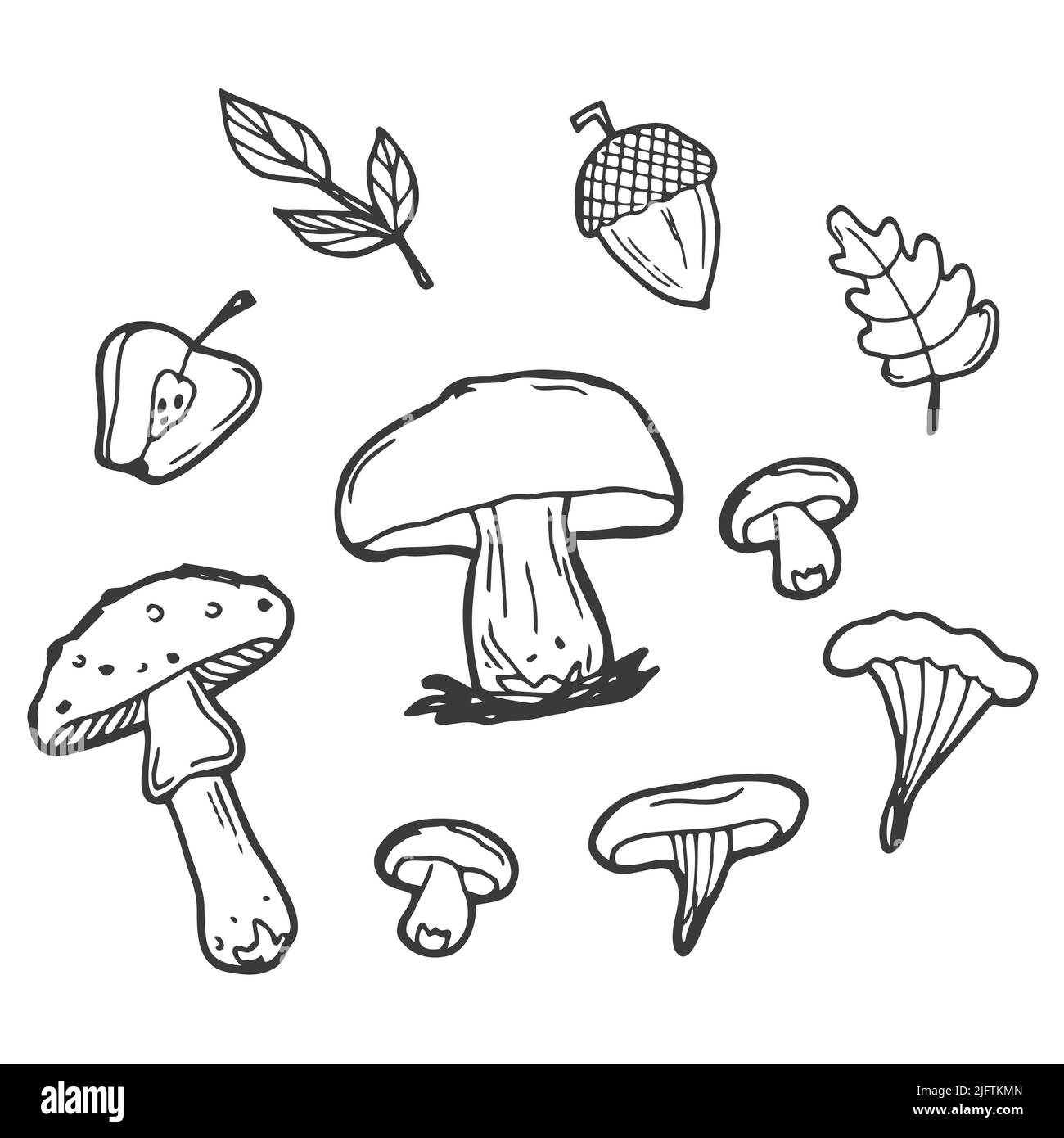 Un décor d'automne sur fond blanc. Illustration vectorielle noire et blanche d'un ensemble automnal d'acornes, de feuilles et de champignons. Objets isolés Illustration de Vecteur