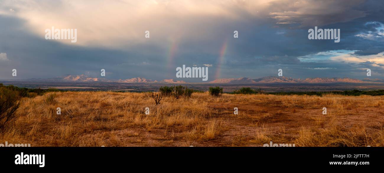 Saison de la mousson dans le sud de l'Arizona Banque D'Images