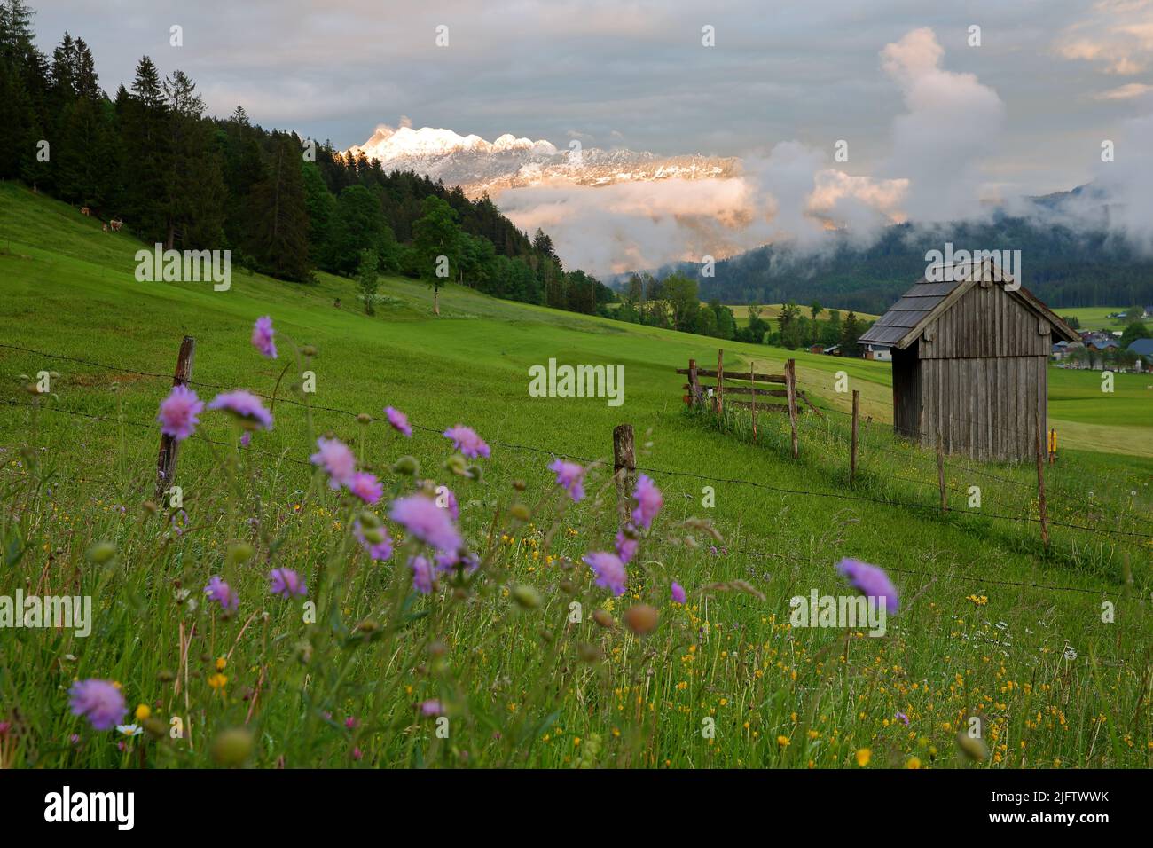 La campagne après le coucher du soleil autour de Pichl Kainisch, Bad Aussee, Salzkammergut, Styrie, Autriche, Europe Banque D'Images