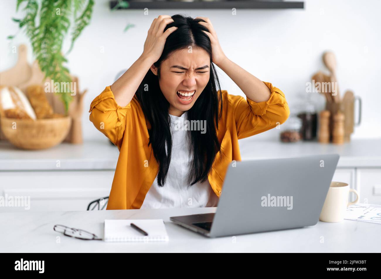 Frustrée triste et fâchée jeune femme asiatique, pigiste, gestionnaire, a obtenu un résultat négatif, a échoué le projet, regarde désespérément l'écran d'ordinateur portable, tient ses mains sur sa tête, ont stressé la situation, hurlant Banque D'Images