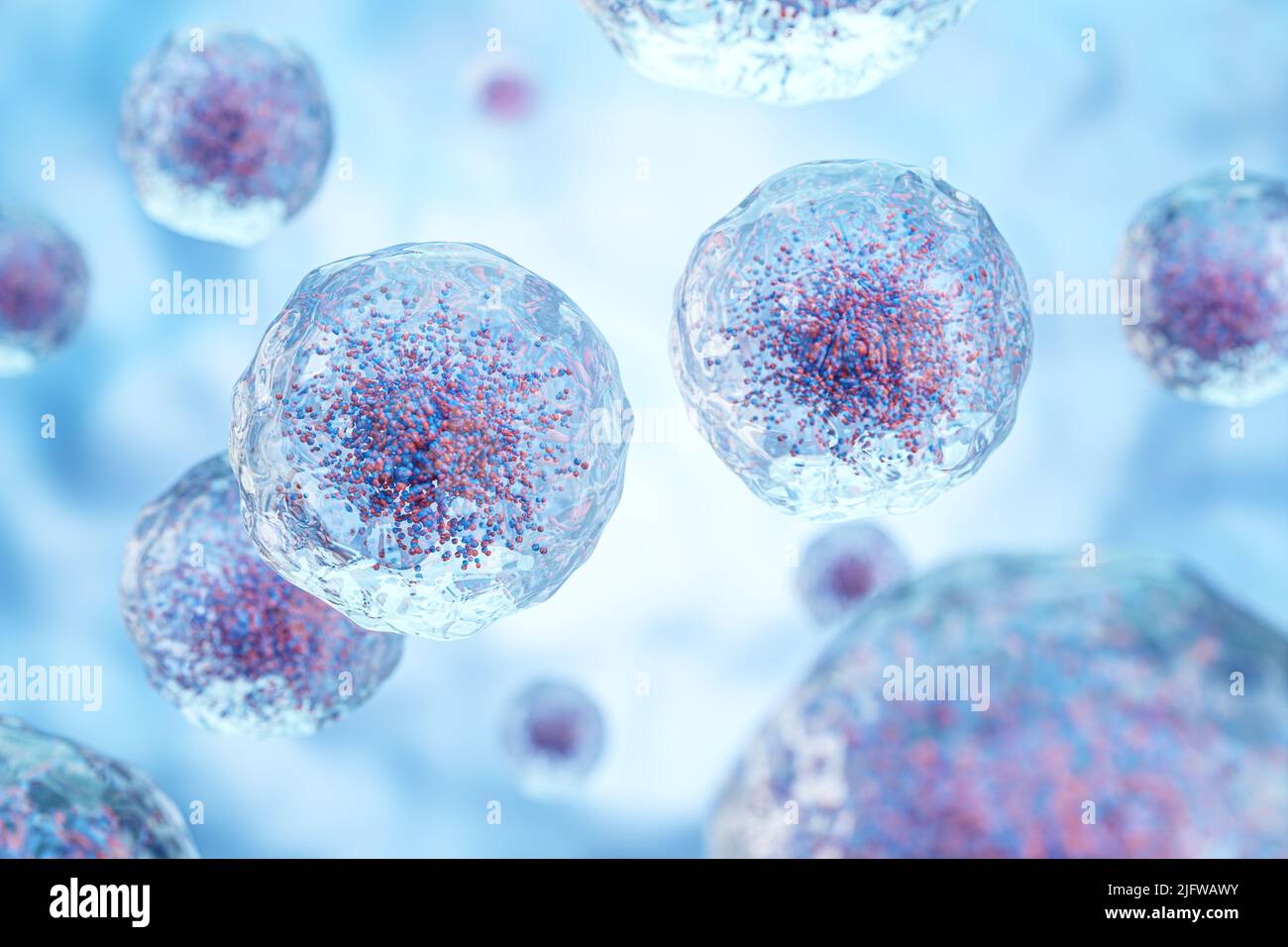 Globules blancs avec noyau et granule . Membrane cellulaire transparente . Concept médical et scientifique contexte . 3D rendu . Banque D'Images