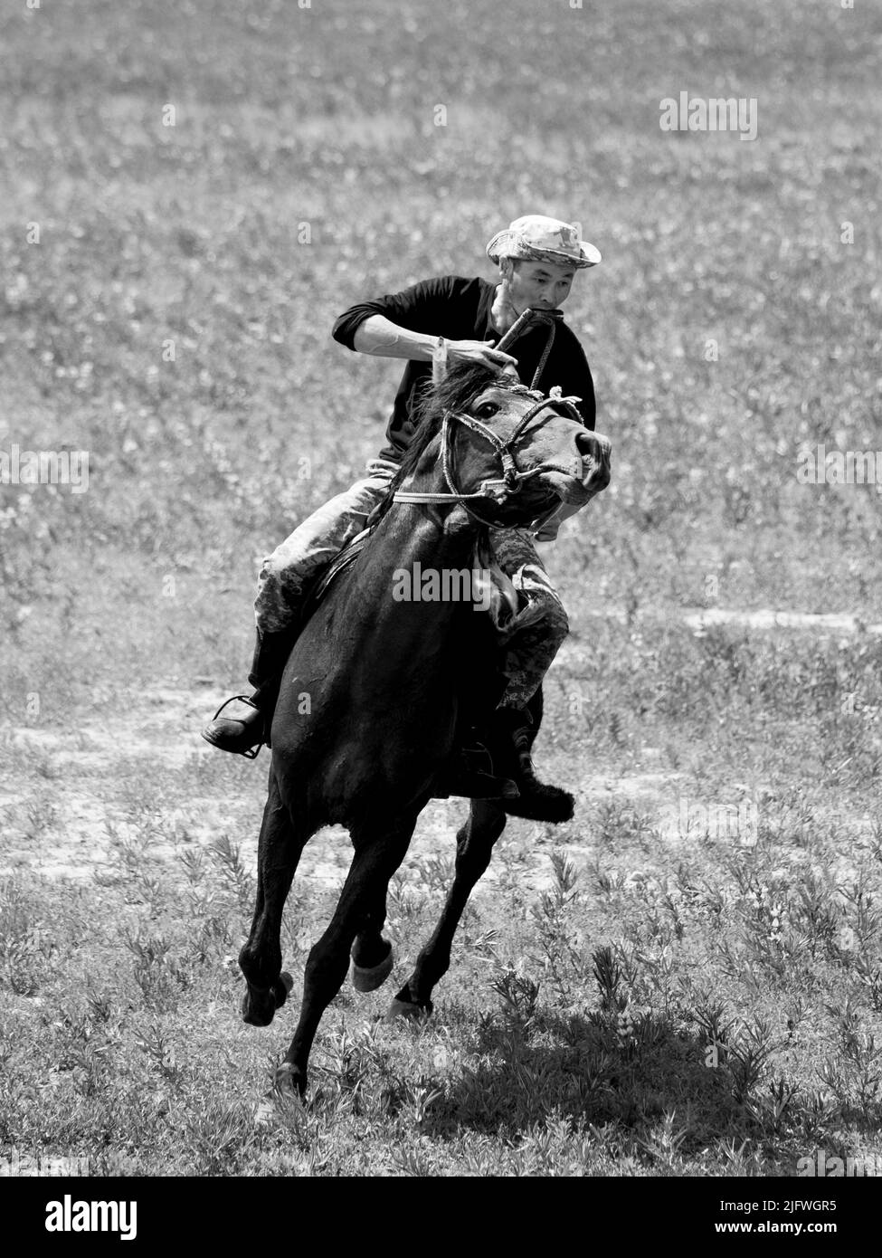 Les hommes jouent un match de Kok Boru, ou polo de chèvre mort, dans un champ au Kirghizistan. Banque D'Images