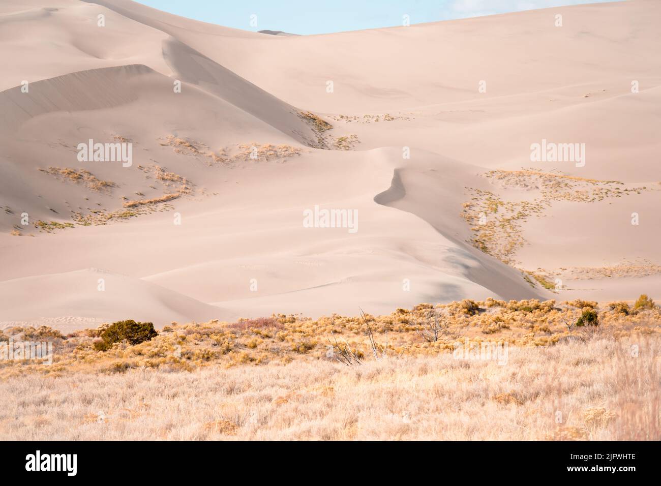 Parc national et presserve de Great Sand Dunes en automne. Banque D'Images