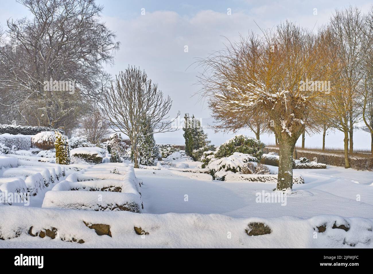 Cimetière dépoli et arbres gelés en hiver automne. Cimetière enneigé brumeux, pierres tombales et arbres couverts dans la neige d'hiver. Paysage d'un cimetière Banque D'Images