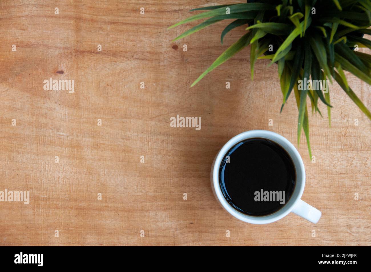 Vue de dessus d'une tasse à café avec plante verte sur fond de table en bois. Espace de travail et de copie Banque D'Images
