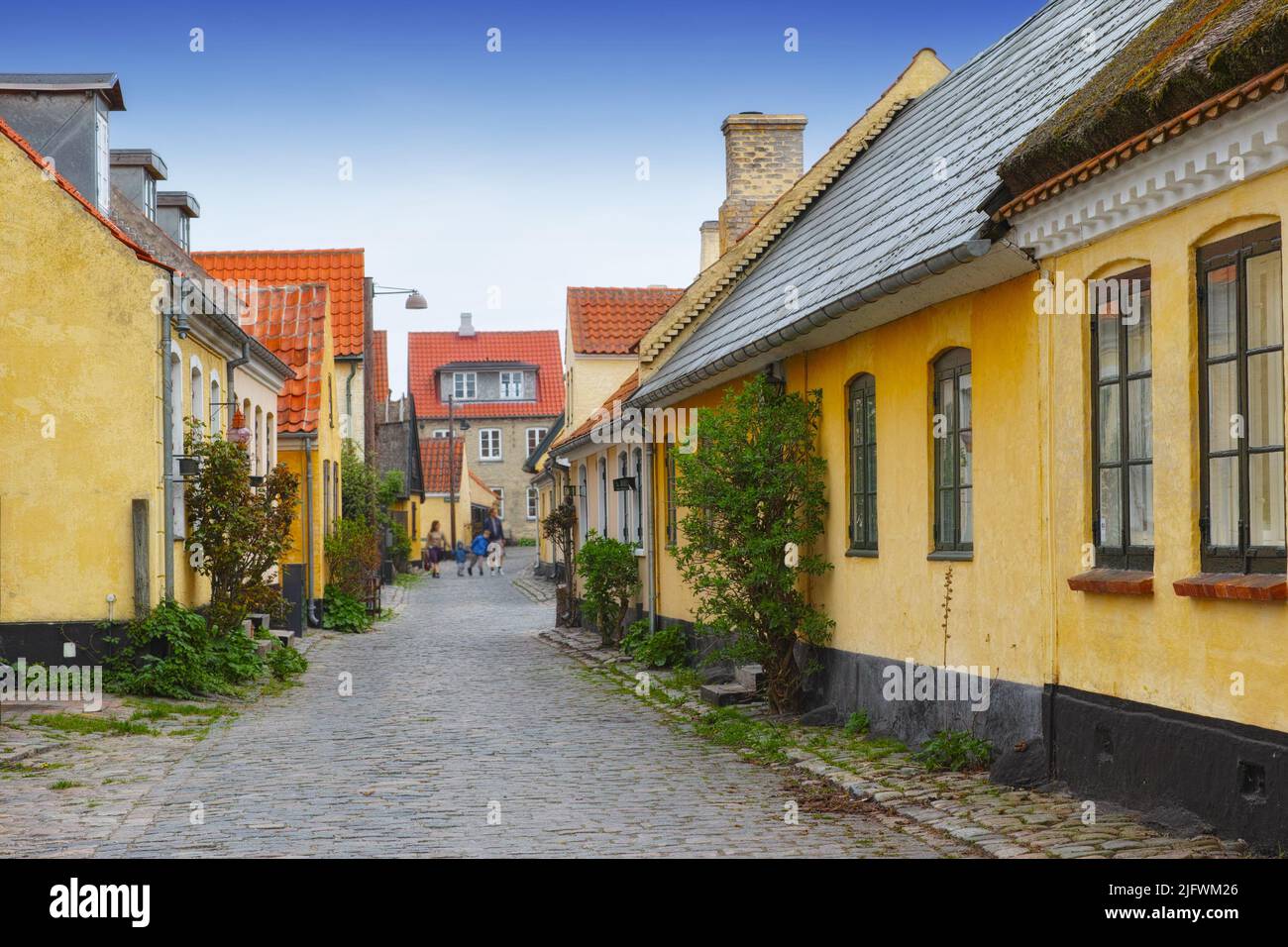 Maisons jaunes anciennes situées à Dragoer, Danemark. Petites maisons anciennes dans la ville historique. Ruelles aux maisons peintes en jaune, toits rouges et pavés Banque D'Images