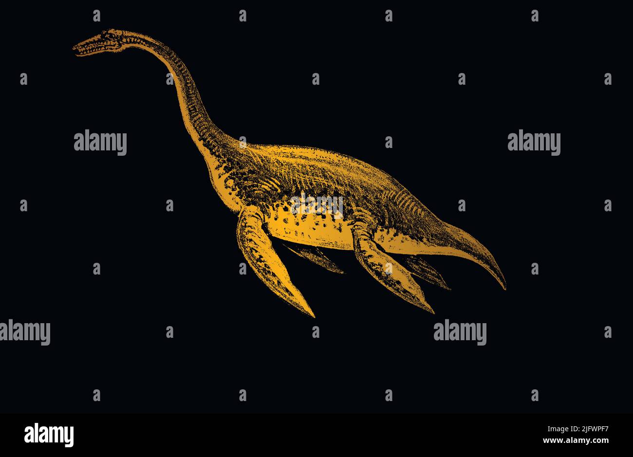 Faune marine sur un fond noir et doré isolé. Plésiosaure. Illustration vectorielle. EPS10. Illustration de Vecteur