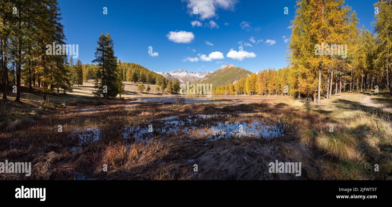 Parc naturel régional Queyras avec lac de Roue en automne (panoramique). Arvieux dans les Hautes-Alpes (Alpes françaises). France Banque D'Images