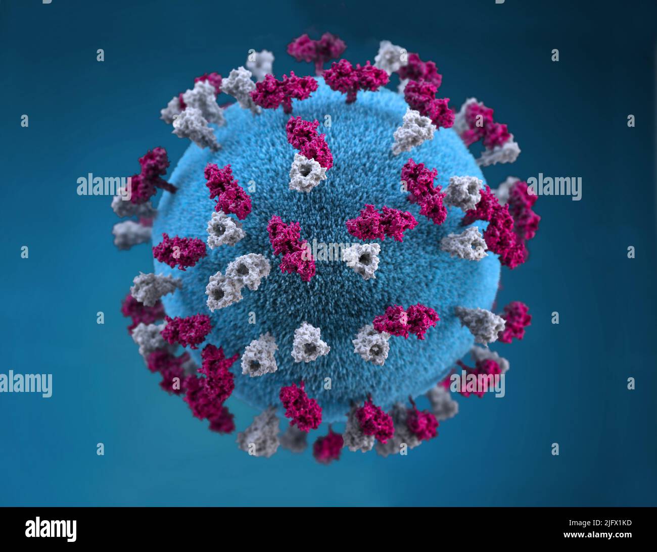 Cette illustration fournit une représentation graphique en 3D d'une particule de virus de la rougeole de forme sphérique, qui a été clouée avec des tubercules de glycoprotéine. Ces goujons tubéroculaires colorisent le boron, sont connus sous le nom de protéines H (hémagglutinine), alors que ceux colorisés gris, représentent ce que l'on appelle les protéines F (fusion). La protéine F est responsable de la fusion du virus et des membranes des cellules hôtes, de la pénétration virale et de l'hémolyse. La protéine H est responsable de la liaison des virions aux cellules. Crédit CDC/A.M.Maiuri, A.Eckert Banque D'Images