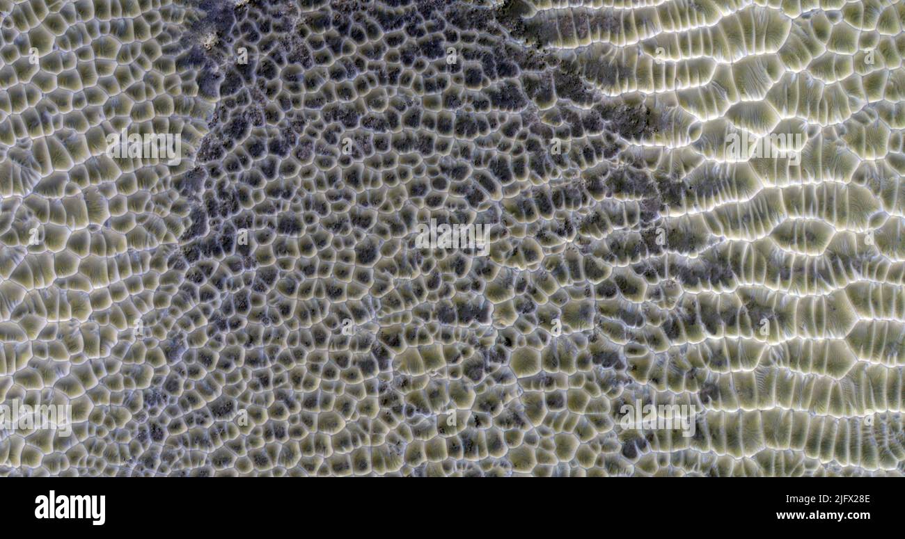 Mars Polygonal Dunes sont d'intérêt parce qu'ils indiquent souvent la présence de glace peu profonde ou de dessiccation comme dans un plat de boue. Les polygones se forment par les crêtes des dunes de sable qui se croisent. Si ce gisement devait devenir injuré et érodé, nous ne pourrions pas être en mesure de dire qu'ils sont originaires de dunes soufflées par le vent, et d'interpréter les polygones comme la preuve d'un lac séché, par exemple. Les dunes s'accumulent souvent dans le fond des cratères, aussi un bon cadre pour un lac (temporaire). Image couleur améliorée de moins de 1km, une version optimisée et améliorée de l'image de la NASA. Crédit: NASA/JPL/UArizona Banque D'Images