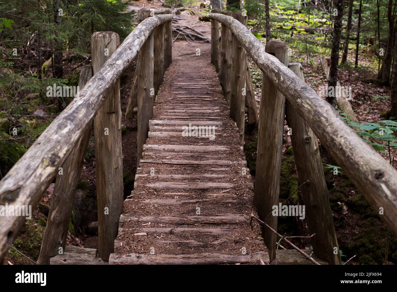 Passerelle en bois au-dessus de Stream in Woods Banque D'Images