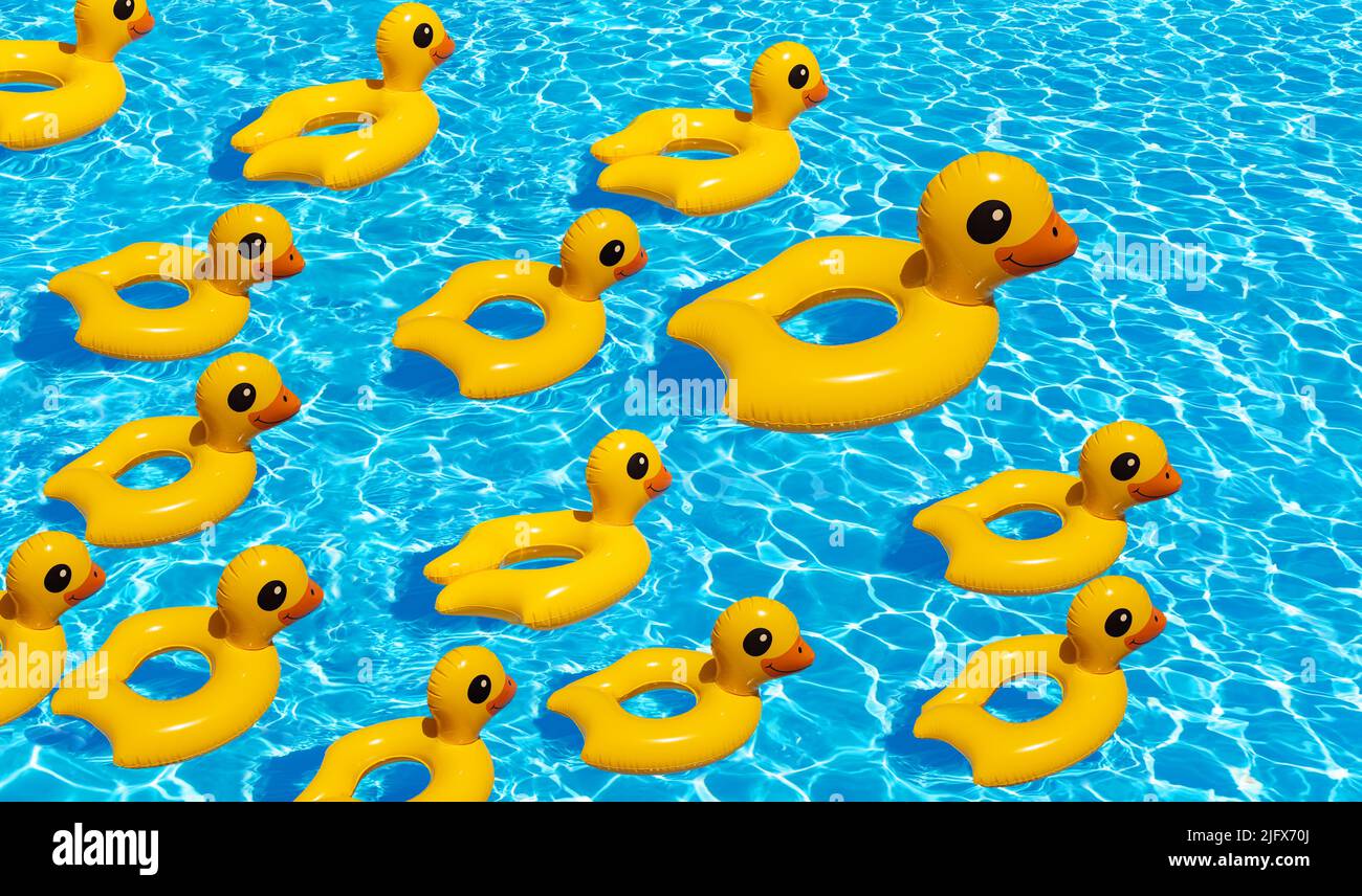 Canard avec groupe de nombreux canetons nagent dans la piscine Banque D'Images