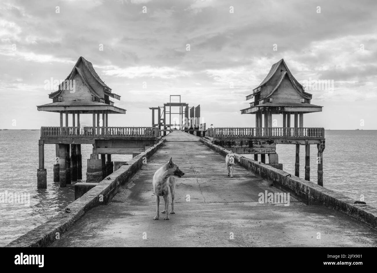 Chiens de rue thaïlandais sur un quai menant à un temple inachevé en Thaïlande Asie du Sud-est Banque D'Images