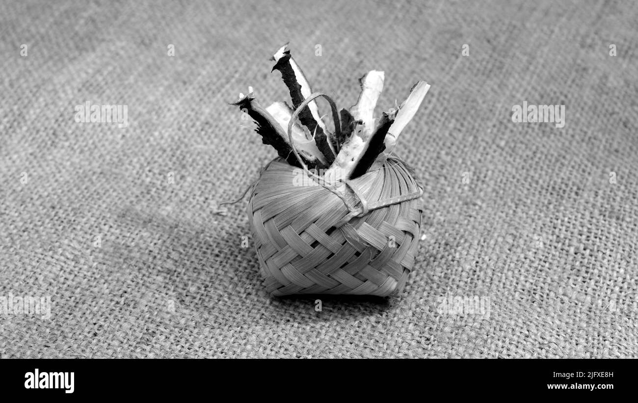 L'arbre Neem branche des pièces sur un fond en jute. Neem tiges utiliser comme ayurveda médecine. La matière première de Neem branche. Banque D'Images