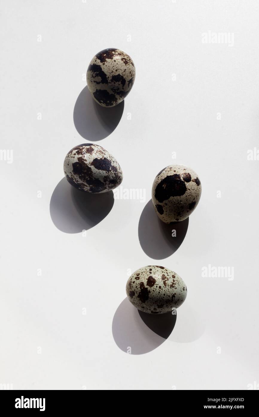 œuf de caille, nourriture aux œufs, petit déjeuner, œuf Banque D'Images
