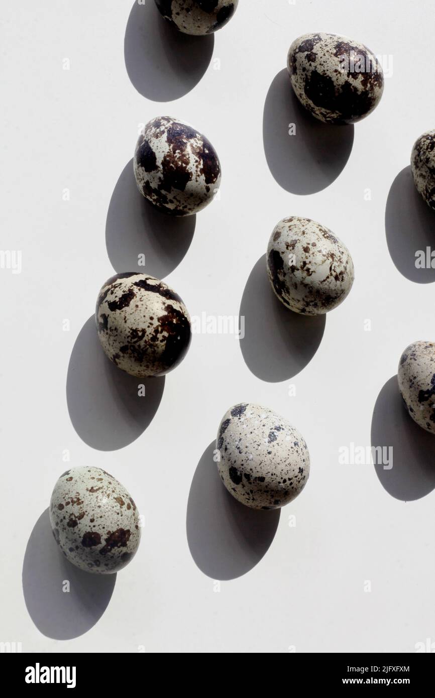 œuf de caille, nourriture aux œufs, petit déjeuner, œuf Banque D'Images